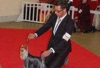 oki-square-paris-dog-show-2011