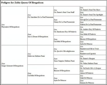 oki-square-zelda-queen-of-bregadoon-pedigree