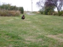 oki-square-album-yorkshire-9