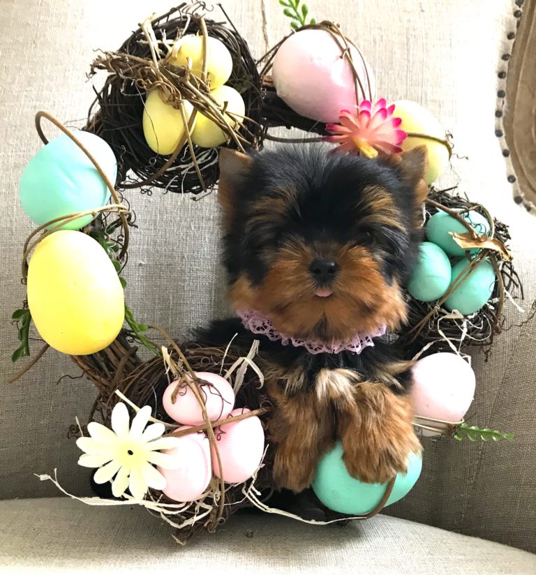 Oki Square Yorkshire Quel est le